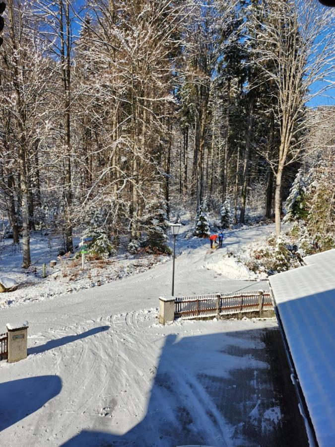 Haus Reindl Apartamento